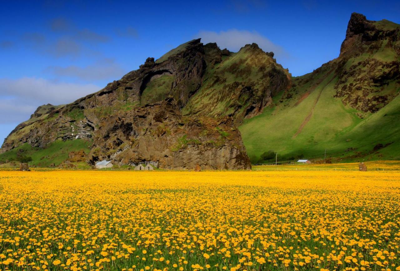 Cozy Cottage By Stay In Iceland Hvolsvöllur Rom bilde